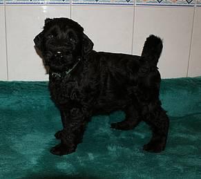 Click on the photo for the original