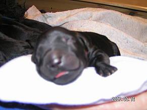 Click on the photo for the original