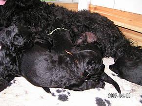 Click on the photo for the original