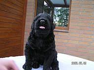 Click on the photo for the original