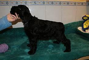 Click on the photo for the original