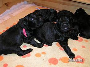 Click on the photo for the original