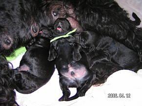 Click on the photo for the original