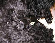 Click on the photo for the original