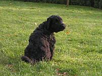 Click on the photo for the original