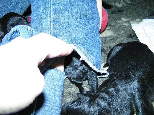 Click on the photo for the original