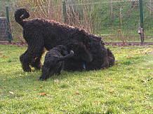 Click on the photo for the original