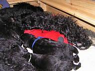 Click on the photo for the original