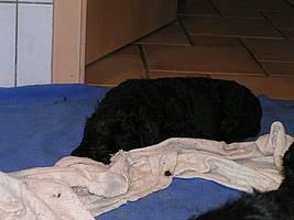 Click on the photo for the original