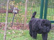 Click on the photo for the original