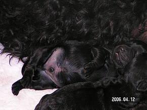 Click on the photo for the original