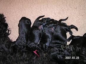 Click on the photo for the original