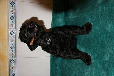 Click on the photo for the original