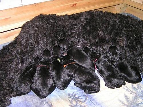 Click on the photo for the original