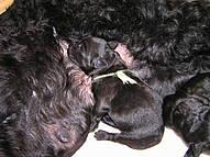 Click on the photo for the original