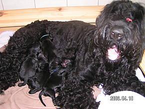 Click on the photo for the original