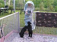 Click on the photo for the original