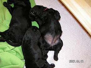 Click on the photo for the original