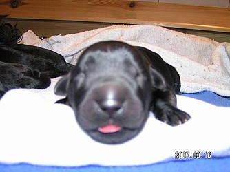 Click on the photo for the original