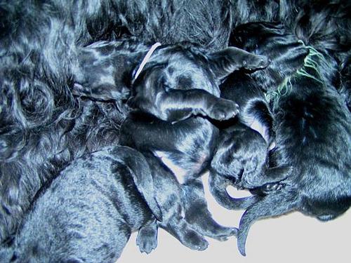 Click on the photo for the original