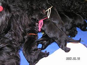 Click on the photo for the original