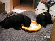 Click on the photo for the original