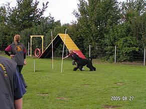 Click on the photo for the original