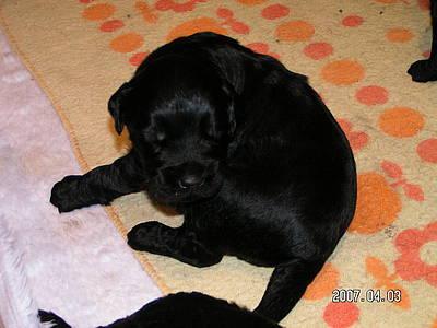 Click on the photo for the original