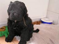 Click on the photo for the original