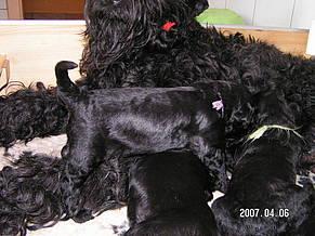 Click on the photo for the original