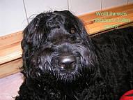 Click on the photo for the original