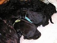 Click on the photo for the original