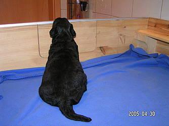 Click on the photo for the original