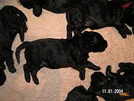 Click on the photo for the original