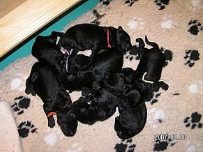 Click on the photo for the original