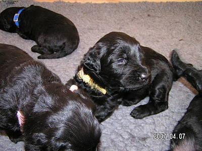 Click on the photo for the original