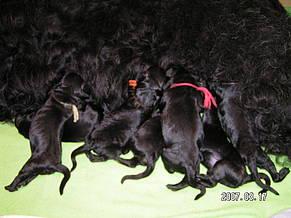 Click on the photo for the original