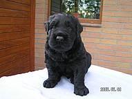 Click on the photo for the original