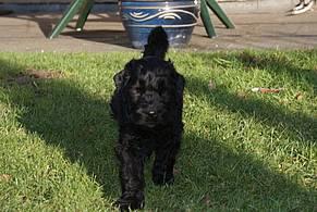 Click on the photo for the original