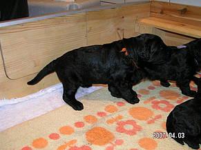 Click on the photo for the original