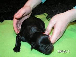 Click on the photo for the original