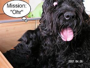 Click on the photo for the original