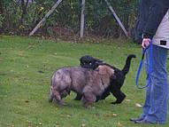 Click on the photo for the original