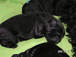 Click on the photo for the original