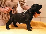 Click on the photo for the original