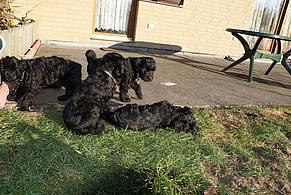 Click on the photo for the original