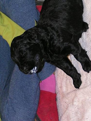 Click on the photo for the original