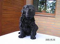 Click on the photo for the original