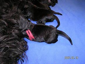 Click on the photo for the original