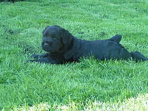 Click on the photo for the original